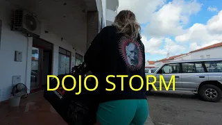 Dojo Storm