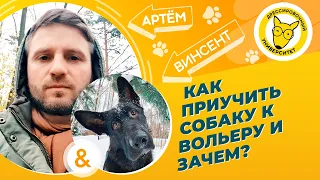 Как приучить собаку к месту (домик, будка, клетка, вольер)