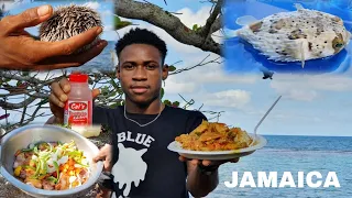 Outdoor Cooking ketchup curry chicken |Soursop fish & Sea eggs | life in Jamaica