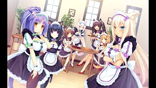 Кошачий Рай  ⁄ Nekopara 1 Серия Озвучка AniDub |RUS|