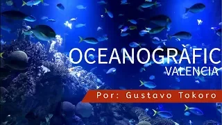 AQUÁRIO OCEANOGRÀFIC VALENCIA | POR GUSTAVO TOKORO