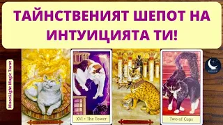 🔮 ТАЙНСТВЕНИЯТ ШЕПОТ НА ИНТУИЦИЯТА ТИ! 🔮 КАКВО СЕ ОПИТВА ДА ТИ КАЖЕ ТЯ? 🔮 | Timeless ✨