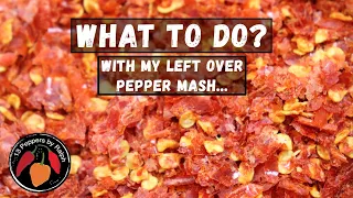 What to do with your Pepper Mash!