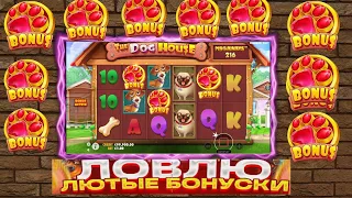 💥ВЛЕТАЮ В THE DOG HOUSE ЧТО БЫ ПОЙМАТЬ ЗАНОС