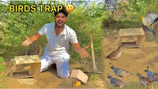 Easy birds trap 🪤 using paper 😍 ( Bater pakde gaye 😁)