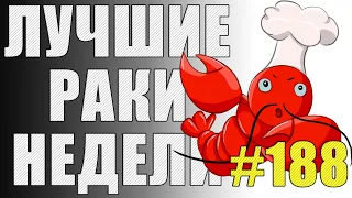 ЛРН выпуск №188 🔥 САМОЕ БОЛЮЧЕЕ РАКООБРАЗИЕ 🔥  [Лучшие Раки Недели]