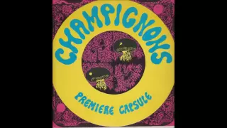 Champignons ‎– Première Capsule (1972) album complet