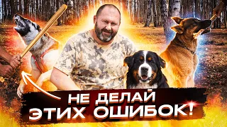 ЧТО БУДЕТ, если ты возьмешь СОБАКУ? Как правильно ВОСПИТАТЬ ЩЕНКА? Дрессировка собаки.