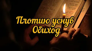 Плотию уснув обиход