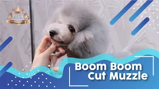 Asian Fusion Unsymmetrical Boom Boom Cut (Muzzle Section)