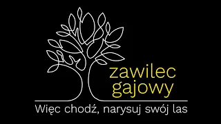 Więc chodź, narysuj swój las - zawilec gajowy