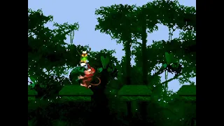 Beginner Mod Donkey W3 [LOTAD] #romhack #dkc1karaage