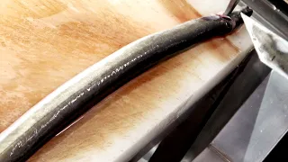 Amazing Taiwanese Technique - How to Fillet a SEA EEL  | GRILLED EEL