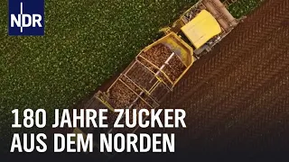 Als der Zucker in den Norden kam | Unsere Geschichte | NDR