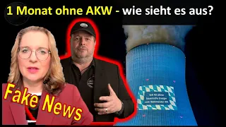 1 Monat ohne Atomstrom  - Was ist tatsächlich passiert? Was schreibt Prof. Kemfert?