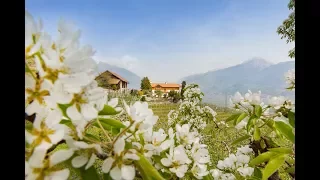 Urlaub auf dem Bauernhof in Südtirol - Roter Hahn: Greiterhof in Lana