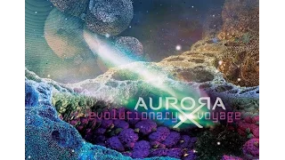 AuroraX  - Spatial  Contemplations