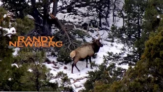 Hunting Arizona Elk with Randy and Matthew Newberg (FT S2 E1)