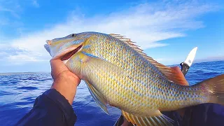 Eat What You Catch - Solo Truck Camping An Island In My Wife’s 4X4