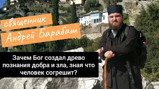 Зачем Бог создал древо познания добра и зла,зная что человек согрешит?