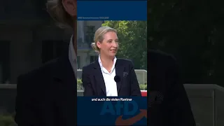 #Sommerinterview #ARD #zdf #weidel #nurnochAfD #shorts