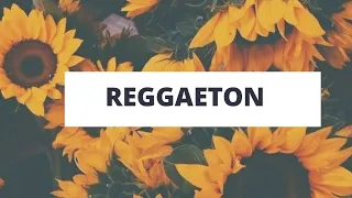 O melhor reggaeton gospel //01