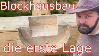 Blockhausbau,die erste Stammlage