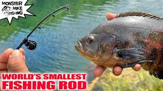 The WORLD'S SMALLEST FISHING ROD Catches Fish!  Tiger Oscar