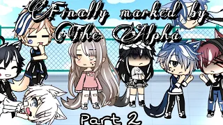 Finally marked by The Alpha | GLMM | Part 2