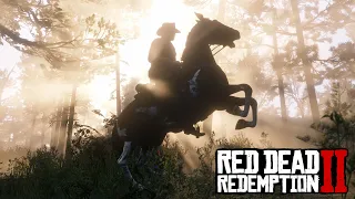 RED DEAD REDEMPTION 2 | Полное прохождение | Стрим #8