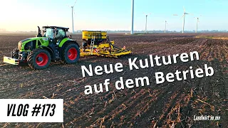 Vlog #173 Neue Kulturen auf dem Betrieb. Eine Claydon auf dem Hof?