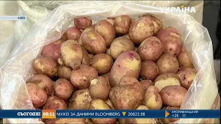 Яка вартість молодої картоплі цього літа