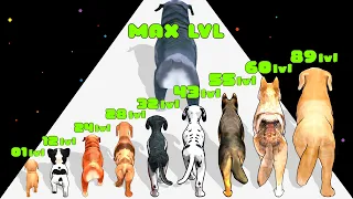 DOG EVOLUTION 3D - Level Up 'Insect Evolution' (2023 Satisfying Games)