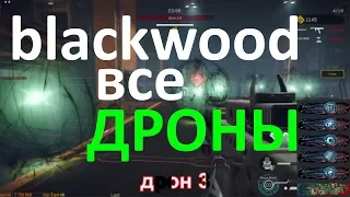 blackwood, все боссы ДРОН
