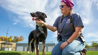 Compassion in Action: Blue Mountain Humane Society