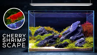 9 Gallon Shrimp Tank — Incredible Aquascape! (Relaxing)