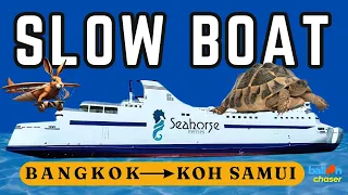 The journey, NOT the destination! 22 Hours From Bangkok to Samui #slowtravel