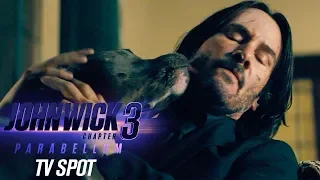 John Wick: Chapter 3 – Parabellum (2019 Movie) Official TV Spot “Dogs” – Keanu Reeves, Halle Berry