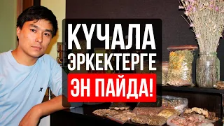 Күчаланын ден соолукка пайдасы