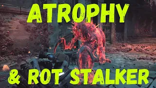 Remnant 2 Atrophy & Rot Stalker Boss Fight | Remnant 2 gameplay boss battle no commentary