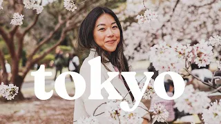 A Week in Tokyo | Vegan in Japan, Cherry Blossom Season & More