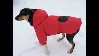 Обзор курточки для собаки, сшитой по готовой выкройке комбинезона.