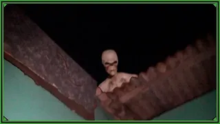 Alien caught on camera and seen on the roof 2021 Real ?