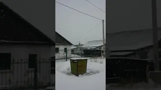 Пятый натиск зимы в Караганде - на улице Винницкая у д. № 19 в ноябре 2021