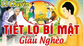 12 Chuyện Nhân Quả, BÍ MẬT Của GIÀU NGHÈO - Nghe 1 Lần Để Thoát Khỏi Nghèo Khổ | Nhân Quả 2024 Hay