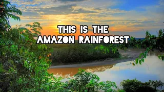 This is the Amazon 🌴 | Rainforest Tours Brazil 🇧🇷 | Off Roads Travel