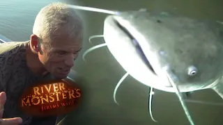 Seeing How A Fish Reacts To Bait | CATFISH | River Monsters