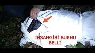 Demon (Jinn) body found in forest @paranormal Max