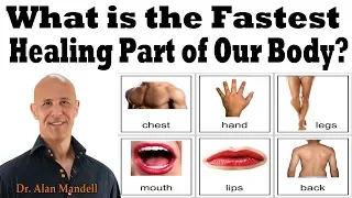 What is the Fastest Healing Part of Our Body? - Dr Mandell, DC