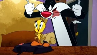 The Looney Tunes Show: Point Laser Point but it's me as Sylvester & Tweety